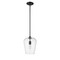 Z-Lite Joliet 1 Light Pendant, Matte Black & Clear 473P9-MB - alternate 4